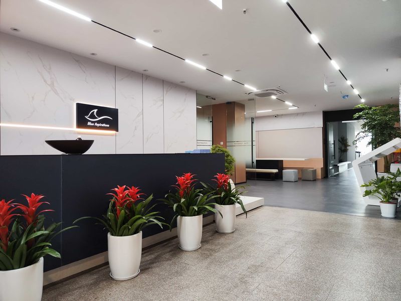 Hangzhou Blue Aspirations Technology Co., Ltd.