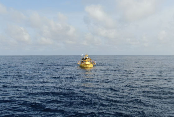Mammiferi marini Cina Boie di monitoraggio Osservazione della qualità dell'acqua